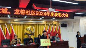 盛世新天地物業(yè)榮獲2024年社區(qū)表彰大會獎(jiǎng)項(xiàng)